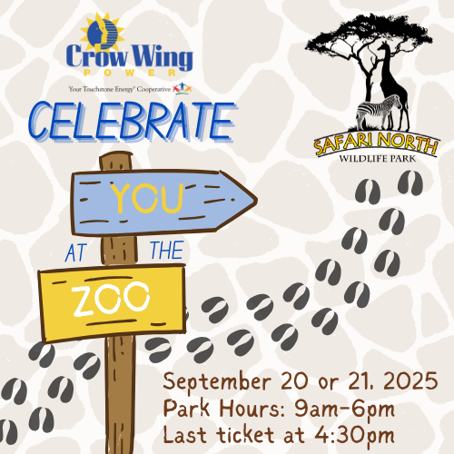 celebrate you at the zoo graphic