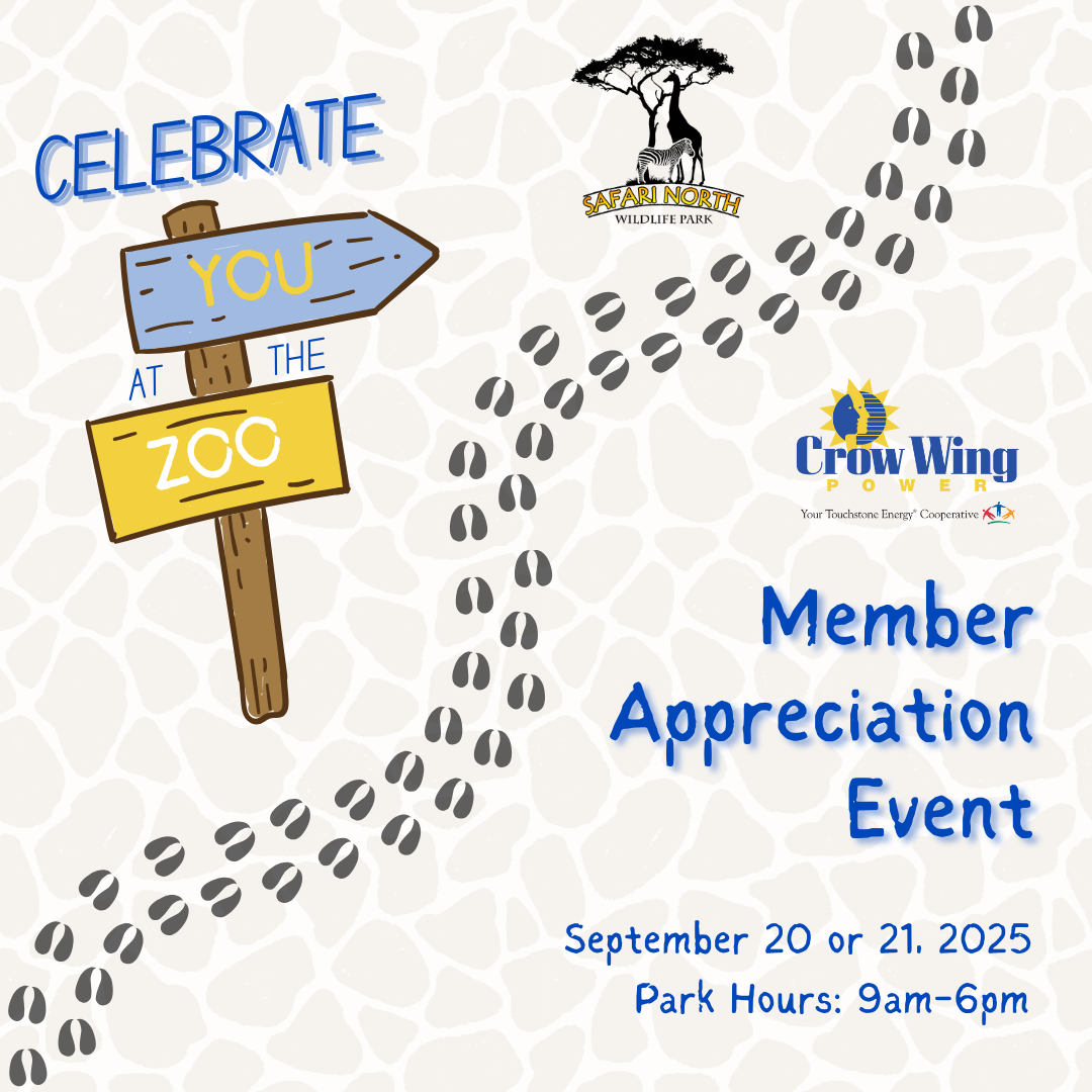 celebrate you at the zoo graphic
