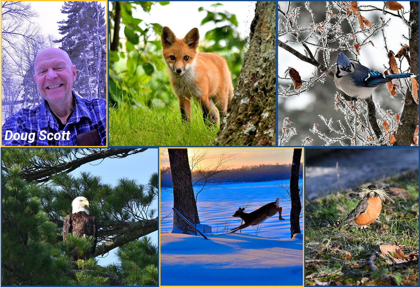 Doug Photo Collage