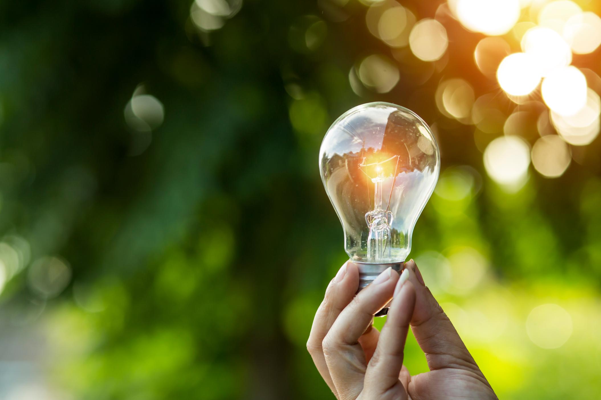 Lightbulb Recycling Crow Wing Power