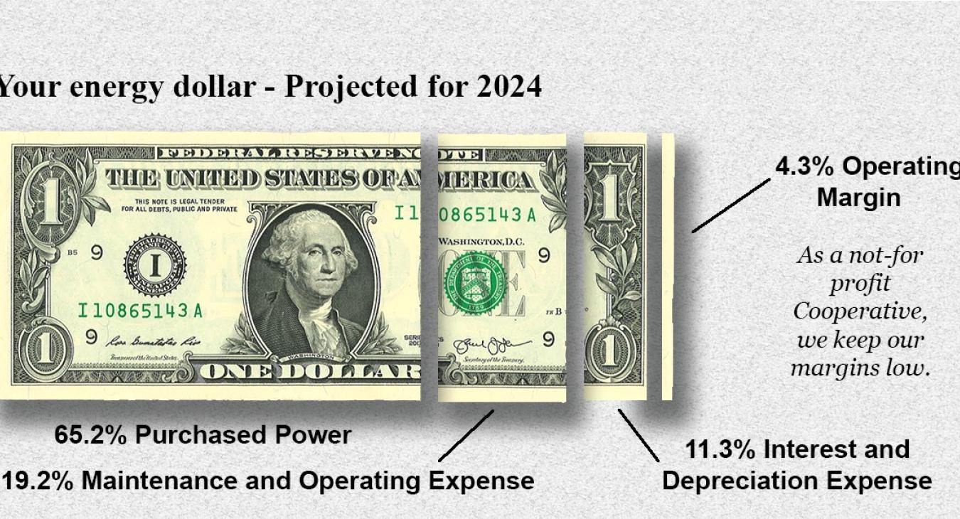 Your Energy Dollar