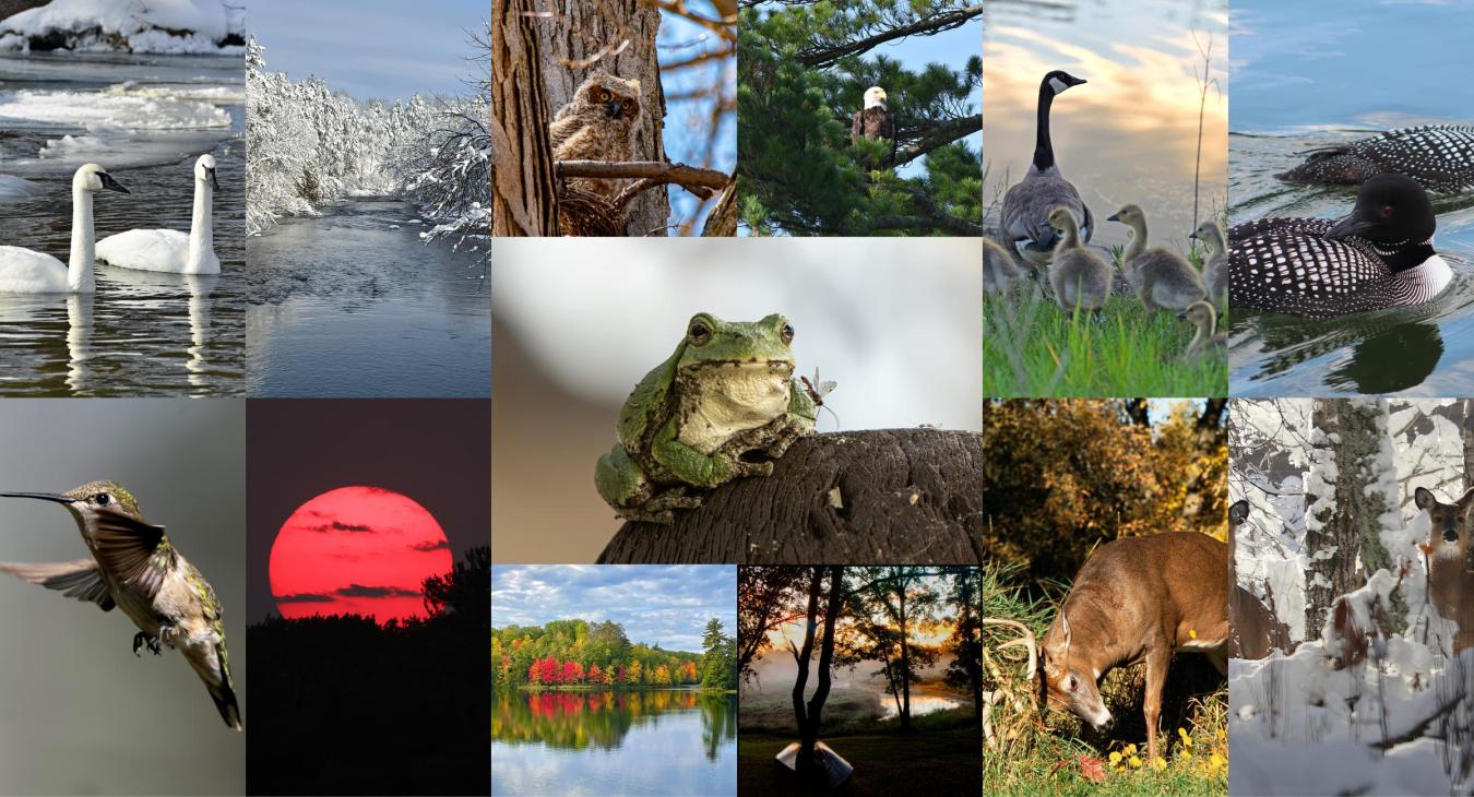 Scenic Photos from 2024 Calendar 